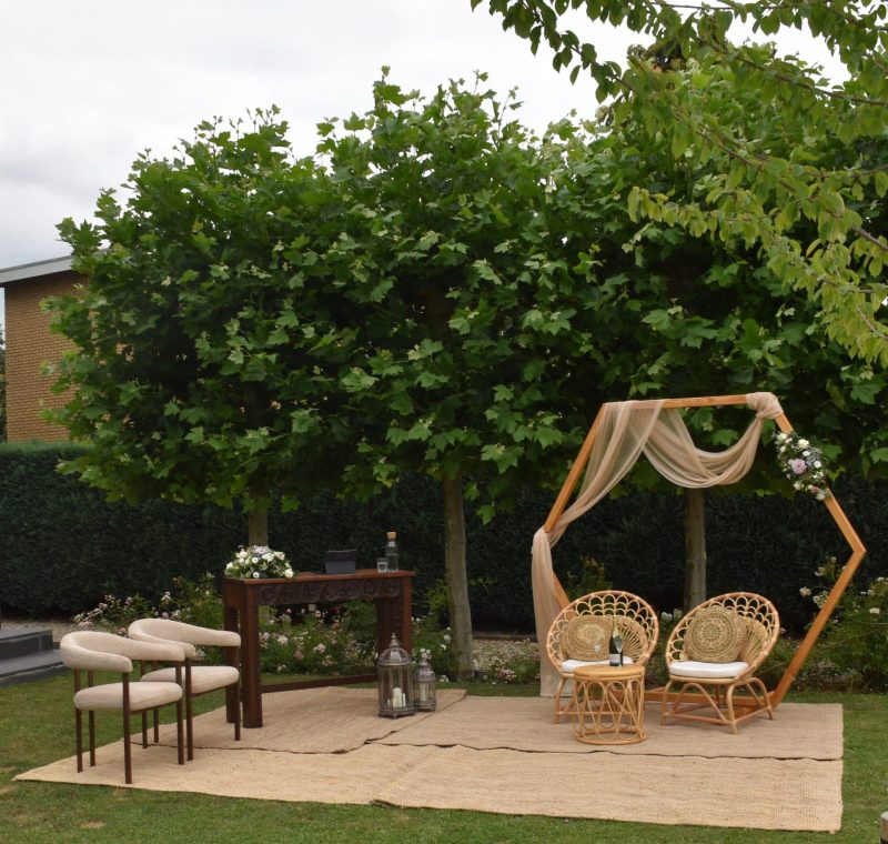 Ceremonie stoelen peacock